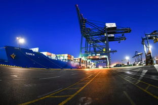 中远海运港口大连集装箱码头开通印尼外贸航线